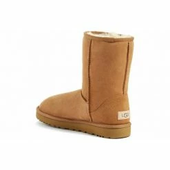 Women's Shoes UGG CLASSIC SHORT II