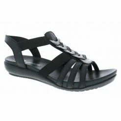 New Arrivals VENUS 210Y