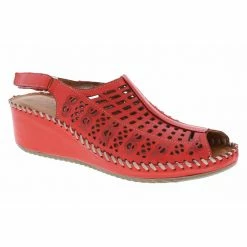 New Arrivals BIZA CHERISH