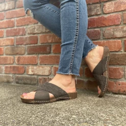 New Arrivals INCA ORCHID