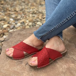 New Arrivals INCA ORCHID