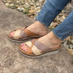 New Arrivals INCA PHYLLIS