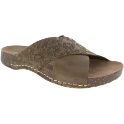 New Arrivals INCA ORCHID