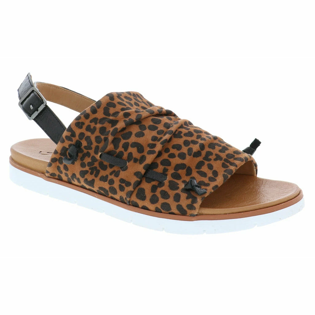 ANESHA TULA New Arrivals