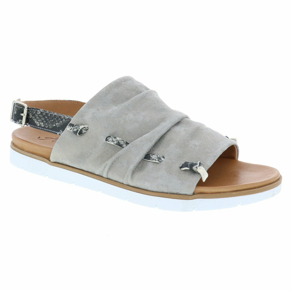 ANESHA TULA New Arrivals