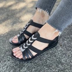 New Arrivals VENUS 210Y